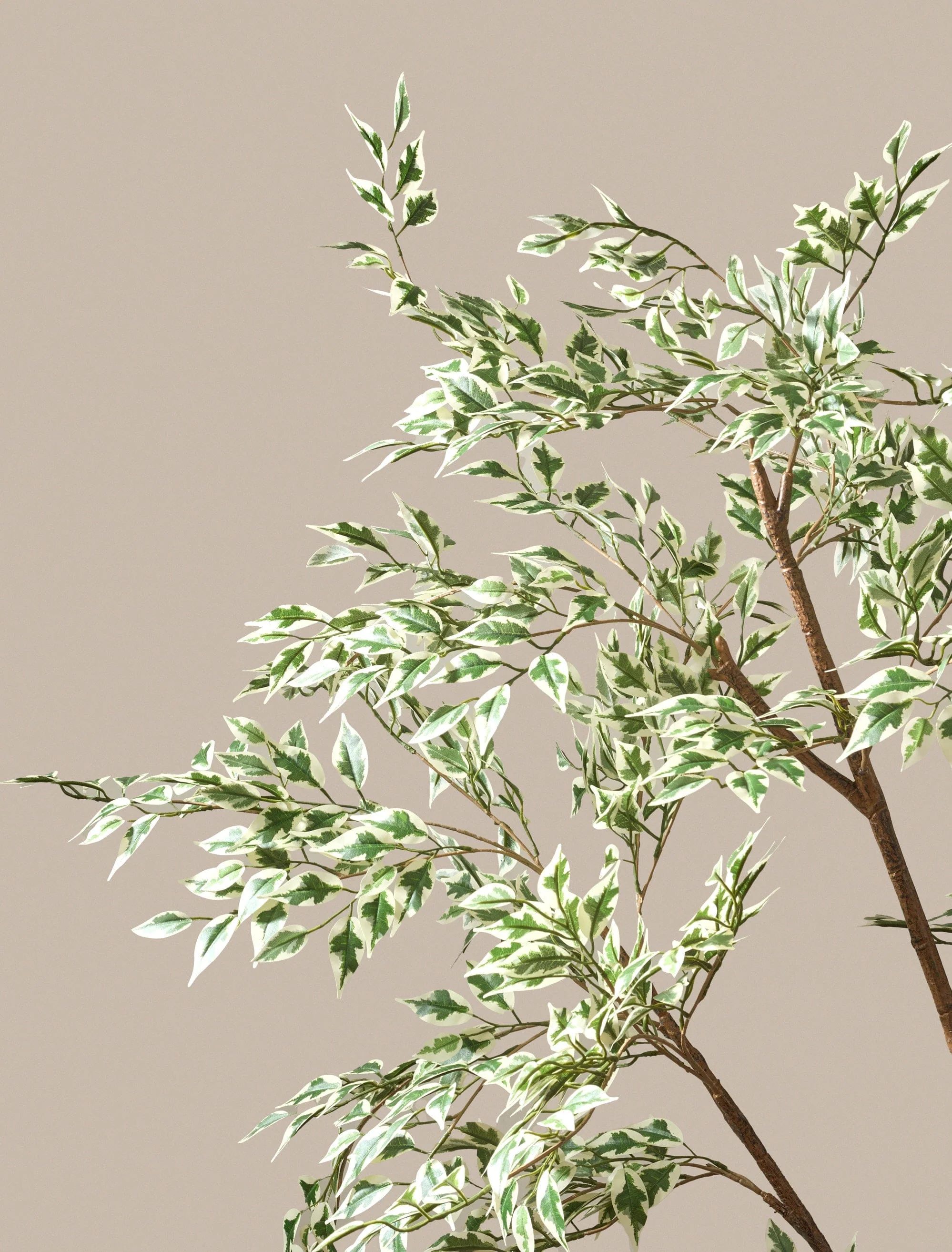 Faux Fiscus Anastasia Tree - Image 3