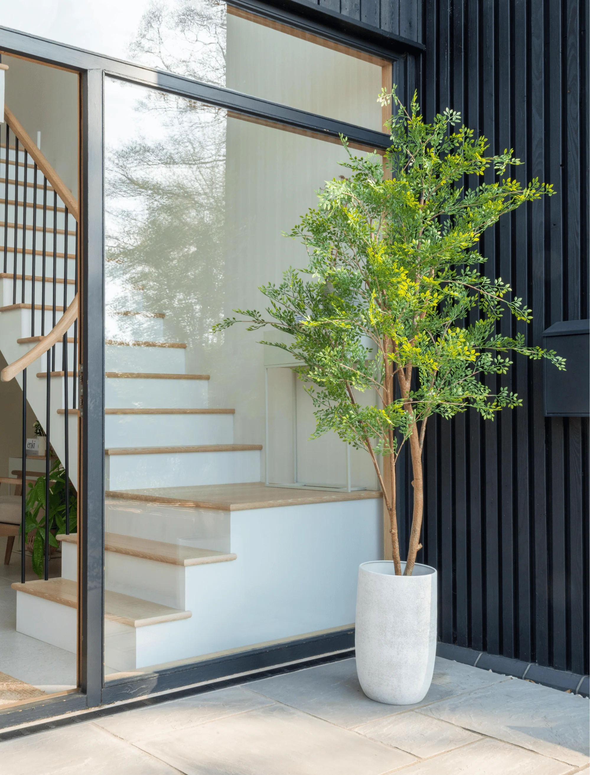 Faux Ruscus Tree (Indoor or Outdoor) - Image 3