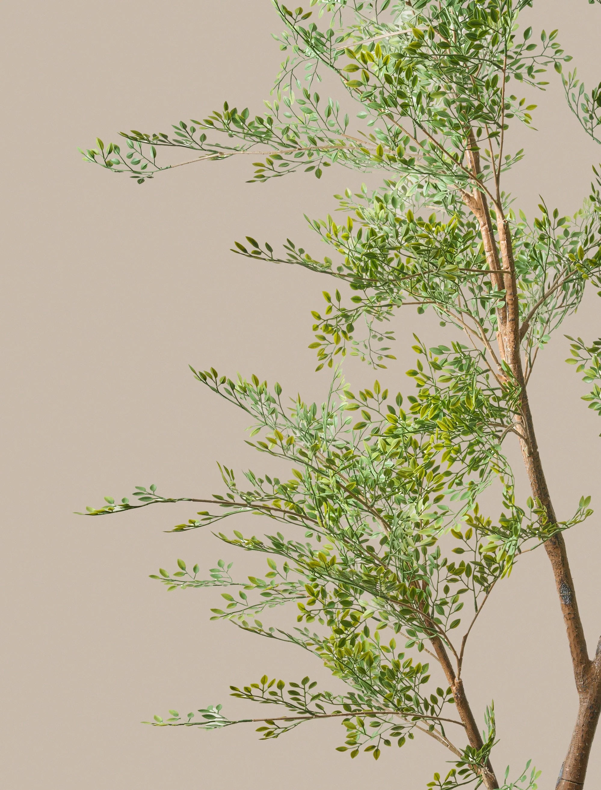 Faux Ruscus Tree (Indoor or Outdoor) - Image 4